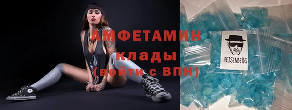 индика Иннополис