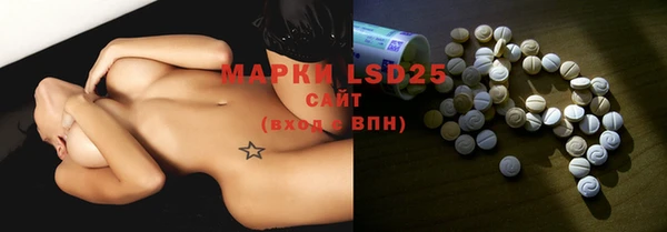 spice Инсар