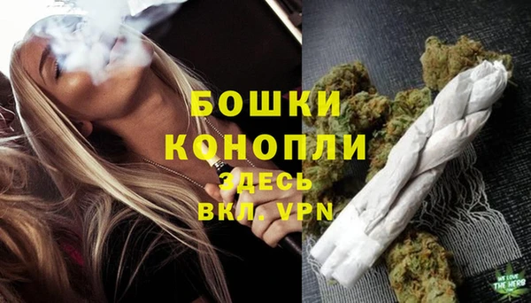 spice Инсар