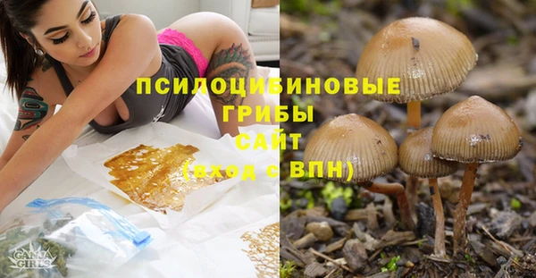 spice Инсар