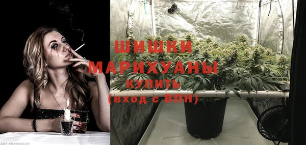 spice Инсар