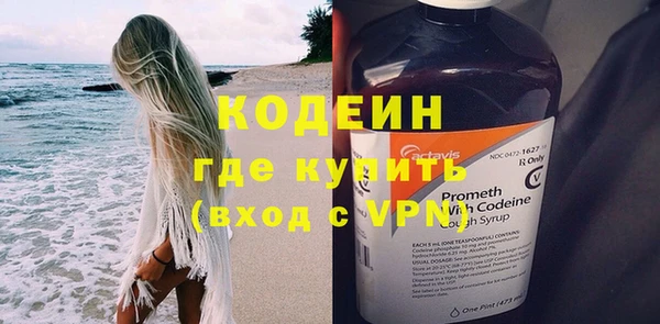 индика Иннополис