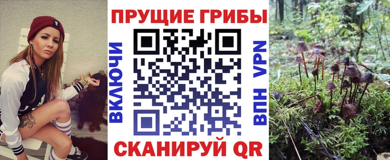 Купить  Зубцов  Галлюциногенные грибы ЛСД 